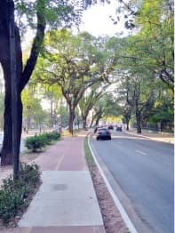Av. Rep do Líbano